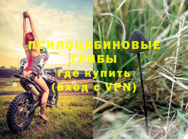 скорость Медвежьегорск