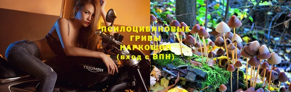 ГАЛЛЮЦИНОГЕННЫЕ ГРИБЫ Мегион