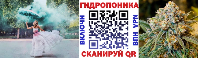 Конопля семена  Купить закладки  Шахты 